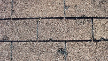 hail-damage-roof-austin